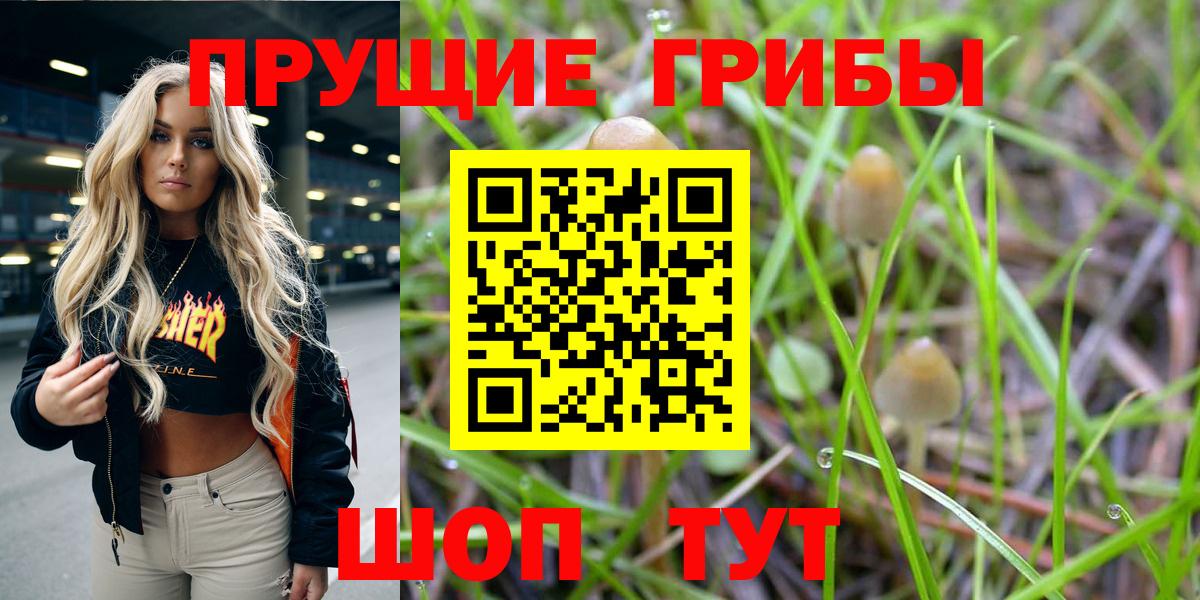 магазин    Галлюциногенные грибы GOLDEN TEACHER  Вход с VPN  Прокопьевск 